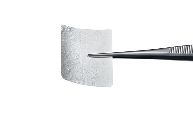 creos xenoprotect collagen membrane